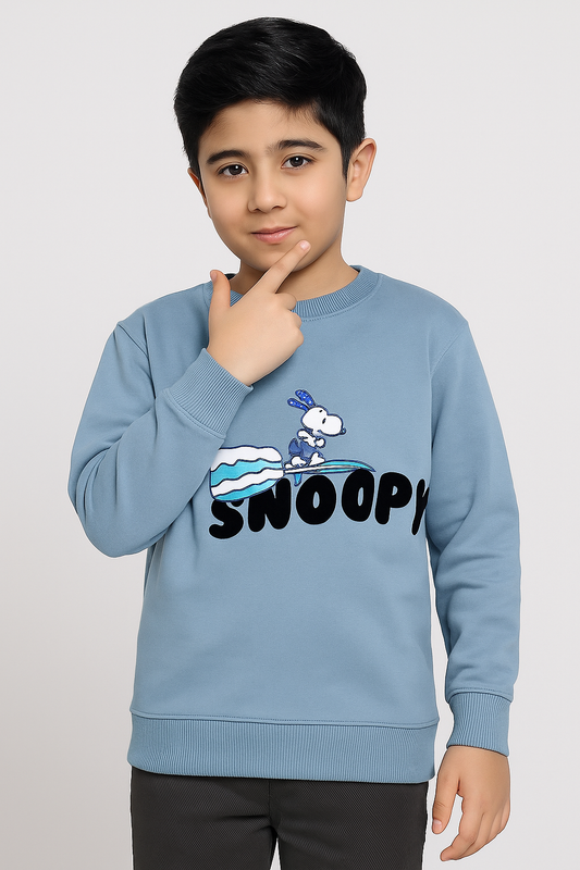 Beechtree Boys Sweatshirt